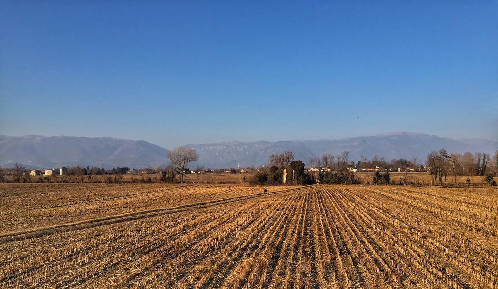 Agriturismo Borgo Tecla Rosà Exteriér fotografie